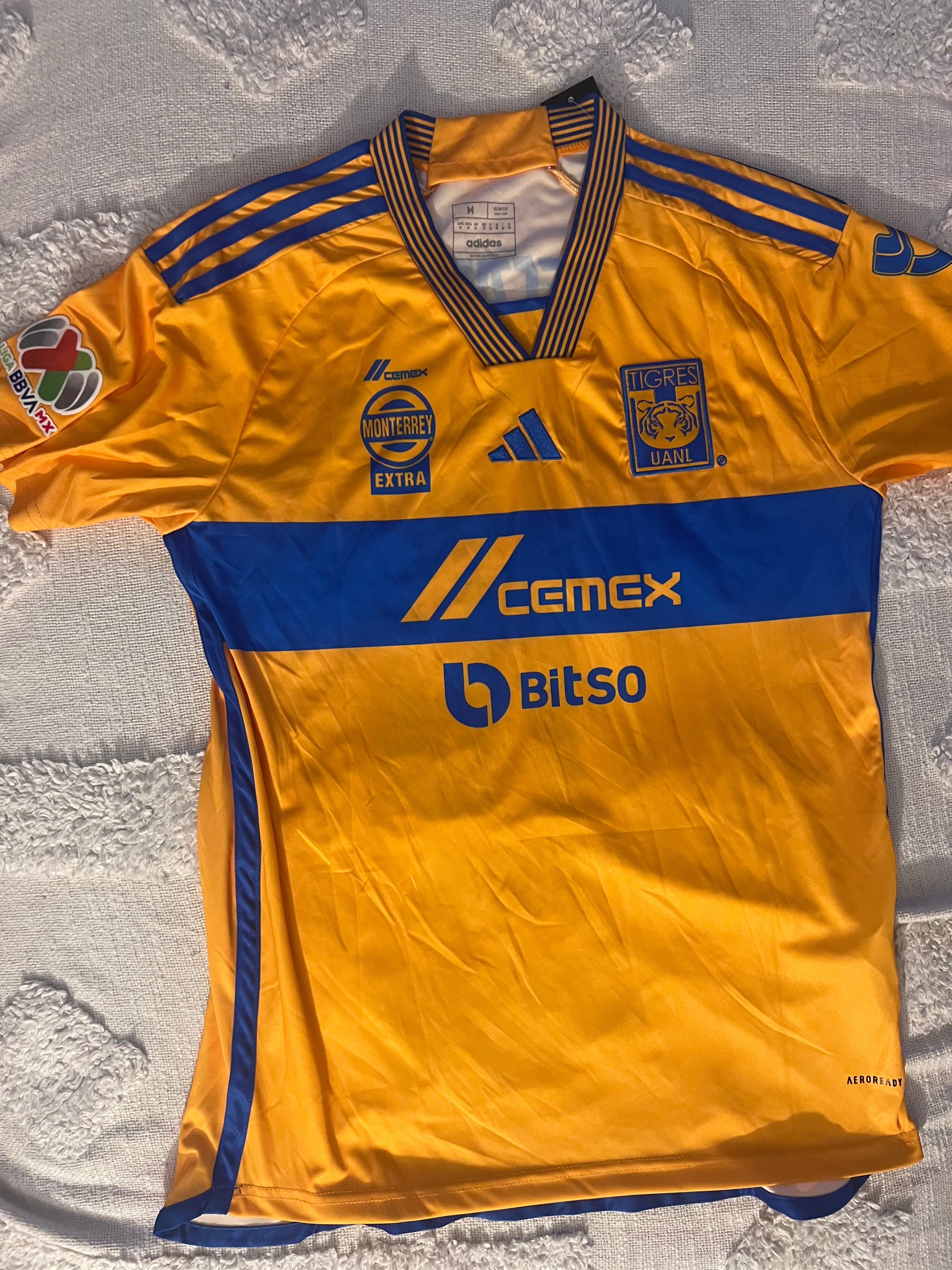 Club tigres  Gignac